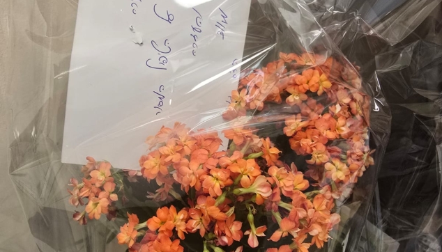 ברכה ממטופלת מרוצה עם פרחים ד"ר אנדי